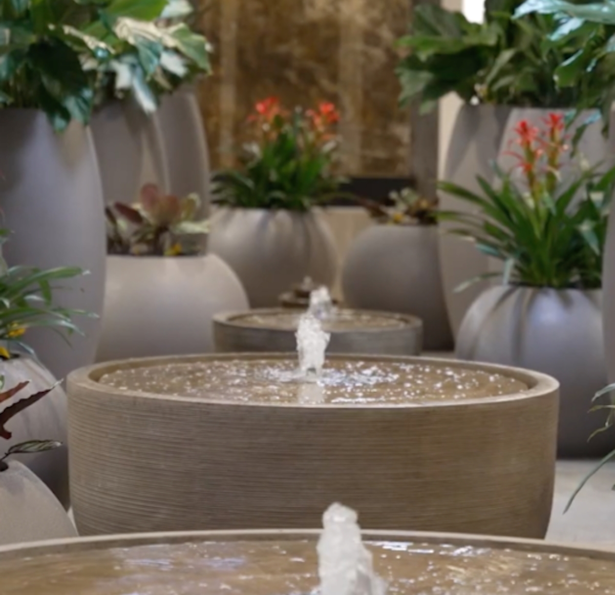 Spa-inspired fountain and plants inside Reflections Dental Spa